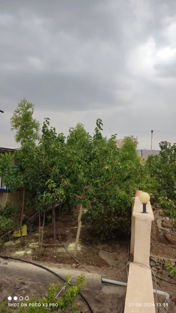 تصویر 14
