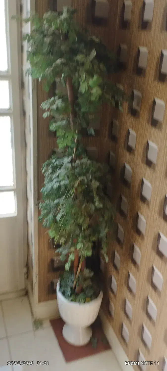 گل مصنوعی|گل مصنوعی|شیراز, پشم شیشه|دیوار