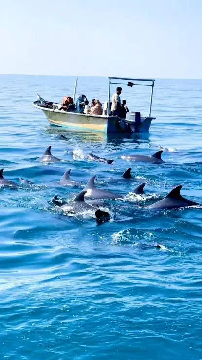 گشت جزیره خودرو ۱۵۰۰|خدمات حمل و نقل|قشم, |دیوار