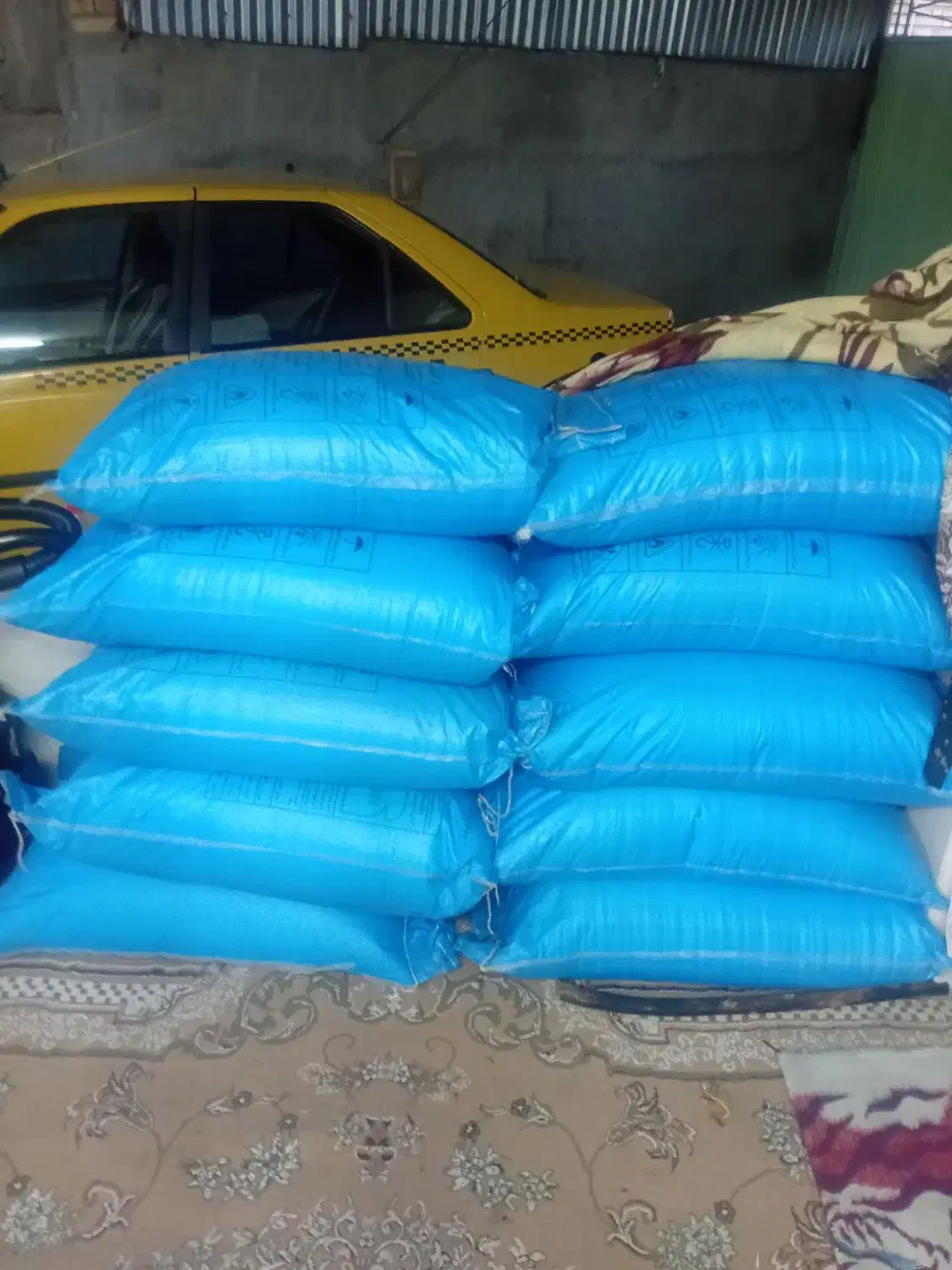 کودریز سفید|خدمات باغبانی و درختکاری|گرگان, |دیوار