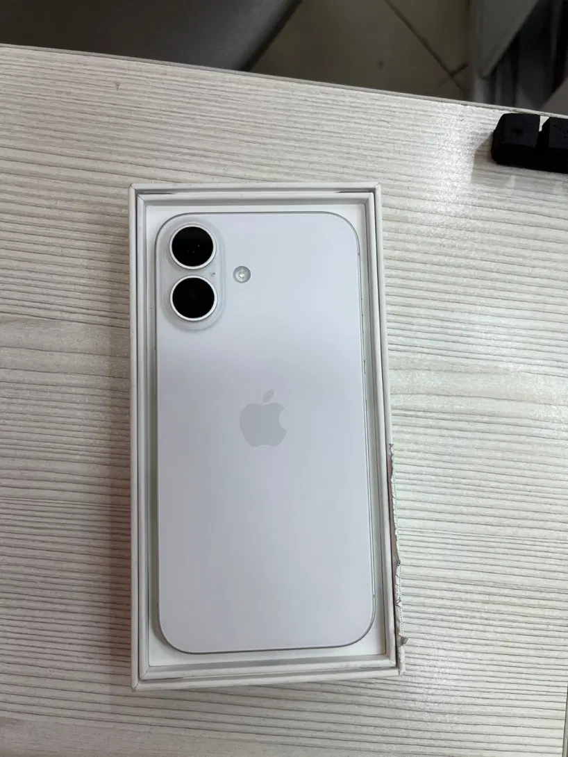 Iphone 16 normal 128 شرکتی|موبایل|تهران, فردوس|دیوار
