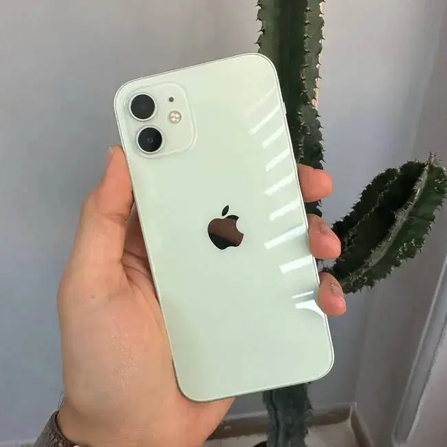 Iphone 12 Normal|موبایل|مشهد, حسین‌آباد|دیوار