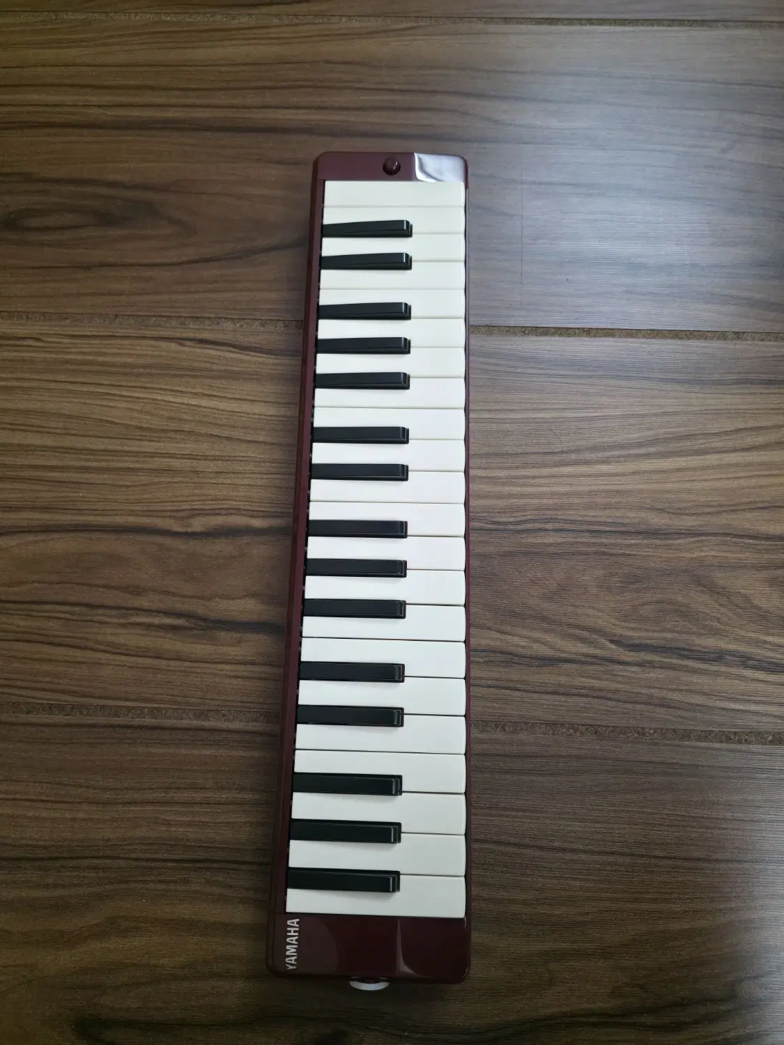 Yamaha P37d|سازهای بادی|شیراز, قدوسی غربی|دیوار