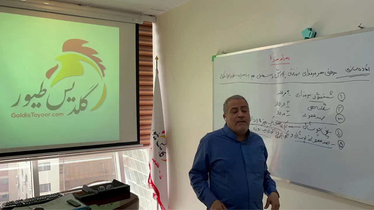 مرغ تخمگذار گوشتی|حیوانات مزرعه|تهران, صادقیه|دیوار