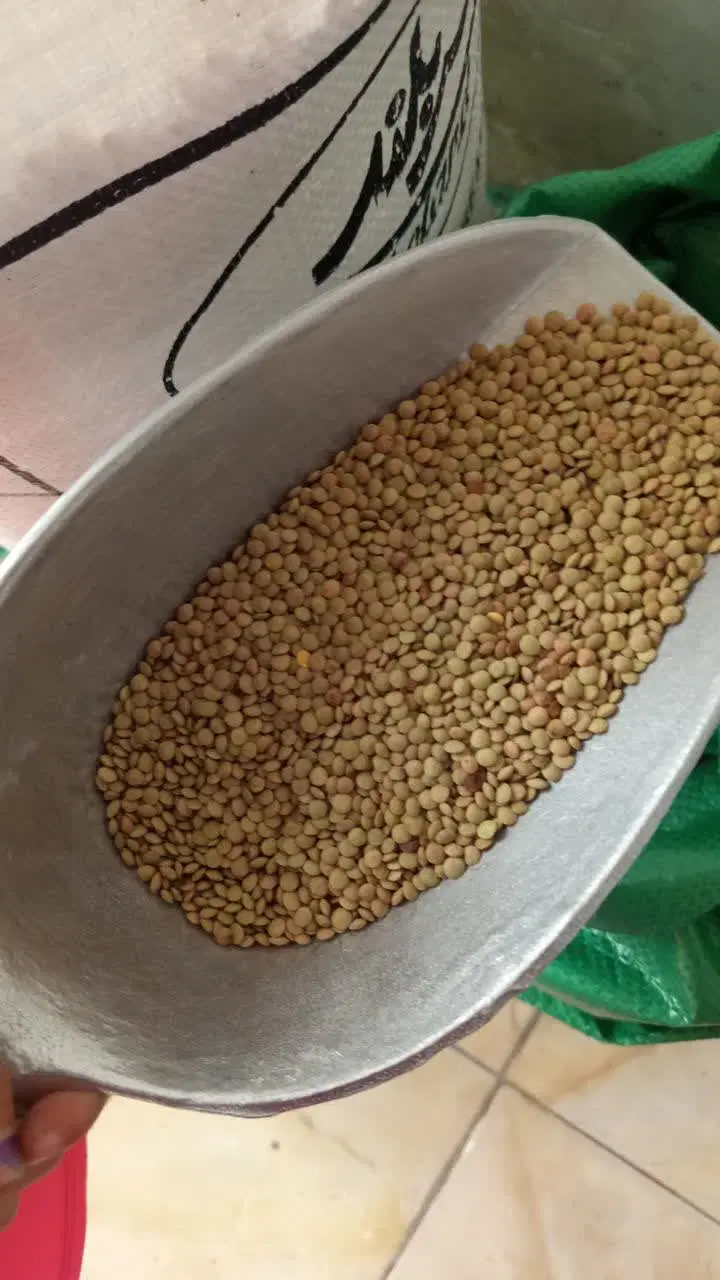 حبوبات|خوردنی و آشامیدنی|شیراز, تندگویان|دیوار