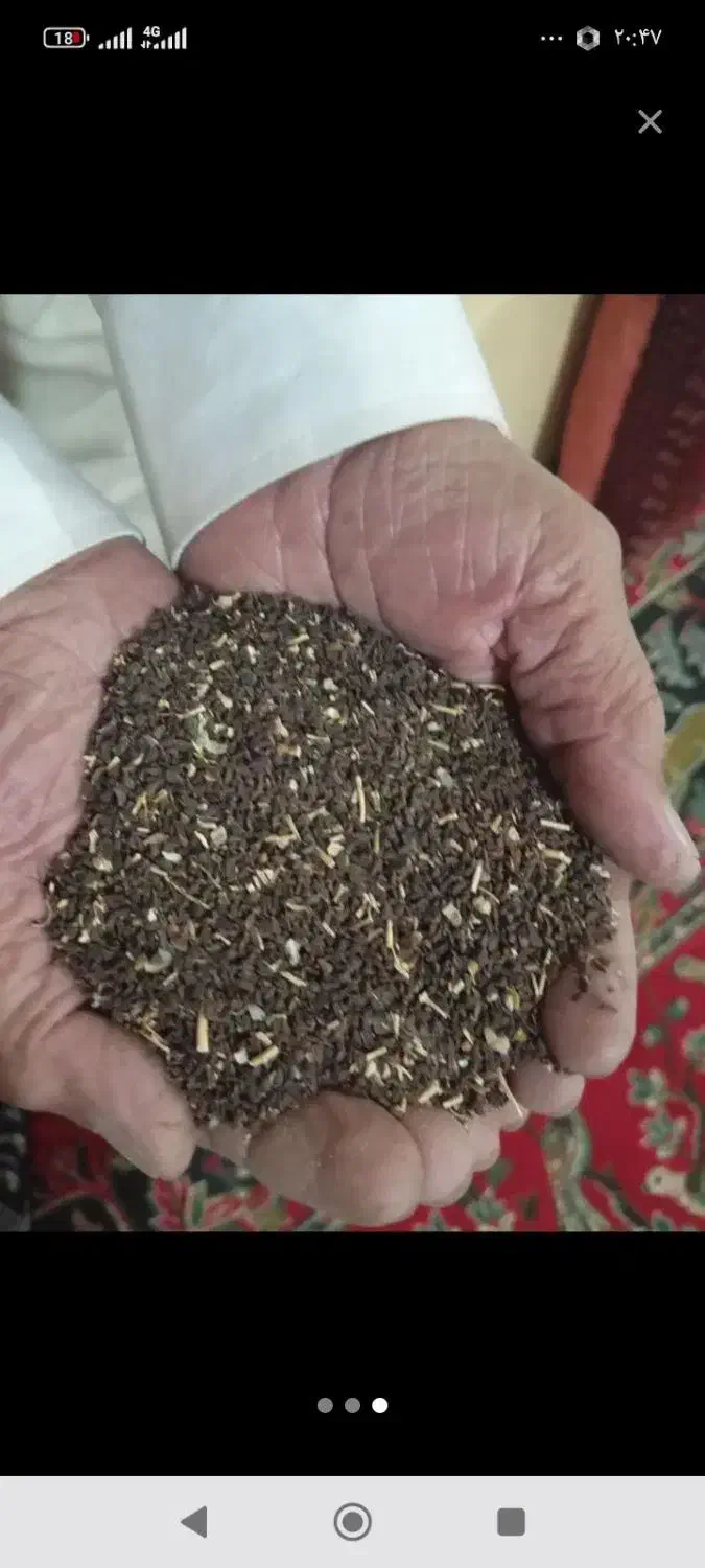 اسپندتمیز|خوردنی و آشامیدنی|نیشابور, بنیاد شهید|دیوار