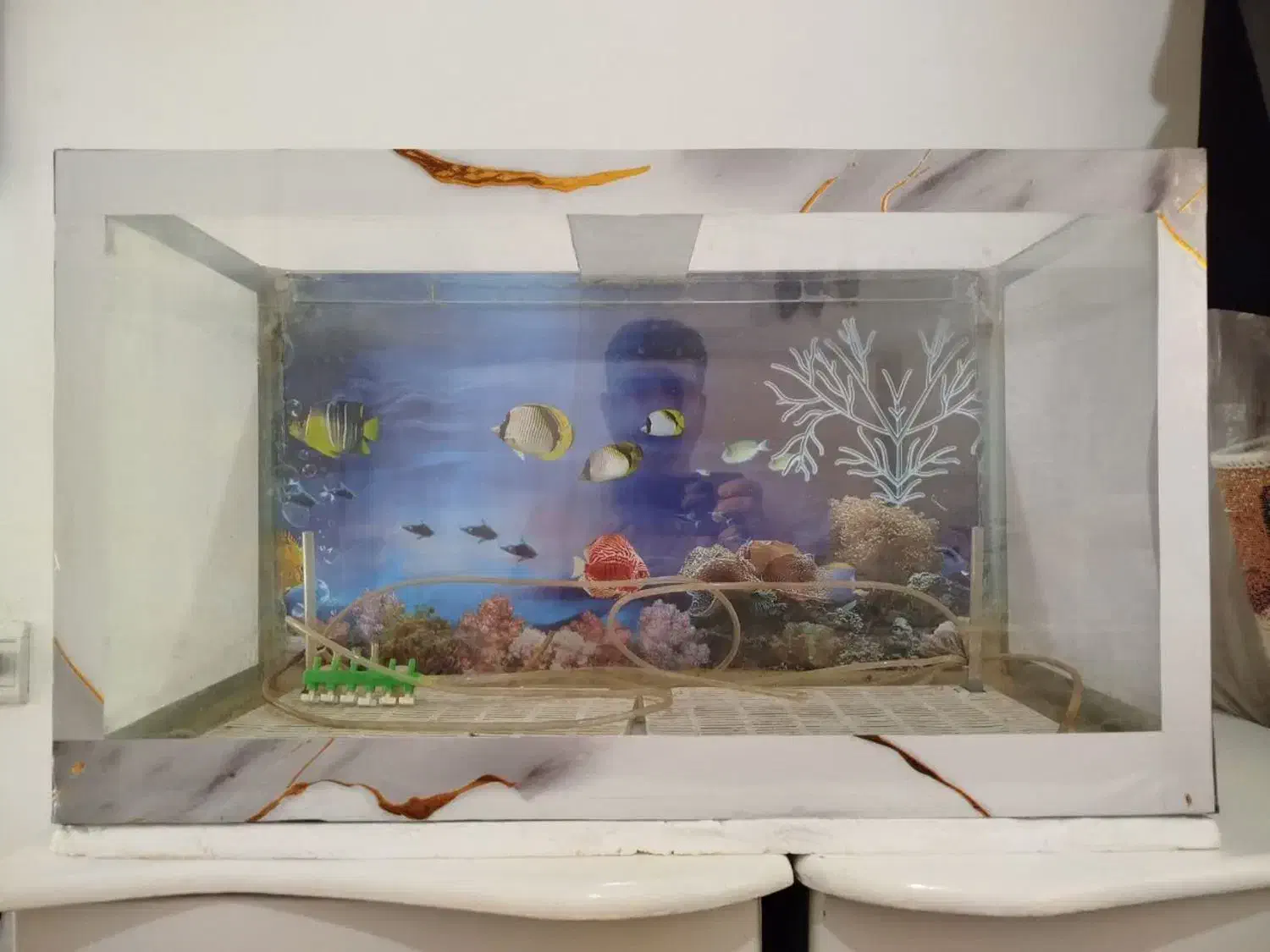 آکواریوم|ماهی|رباطکریم, مسکن مهر آبشناسان|دیوار