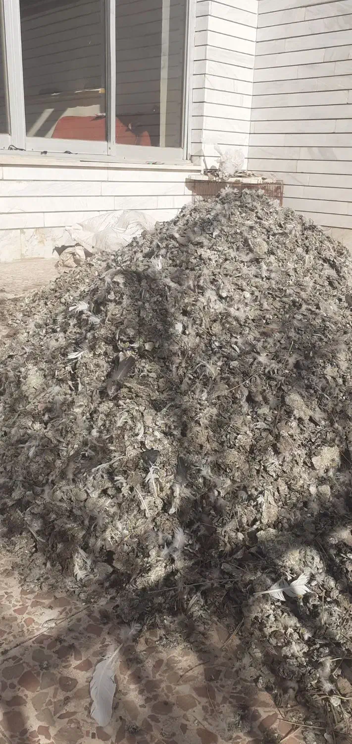 کودکفتر|لوازم جانبی حیوانات|سبزوار, باهنر|دیوار