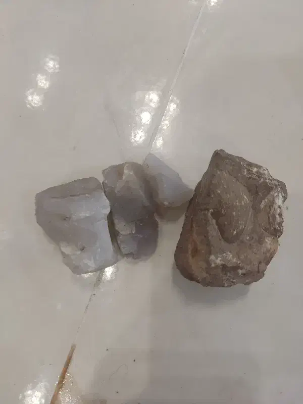 سنگ صدف|بدلیجات|بیرجند, |دیوار