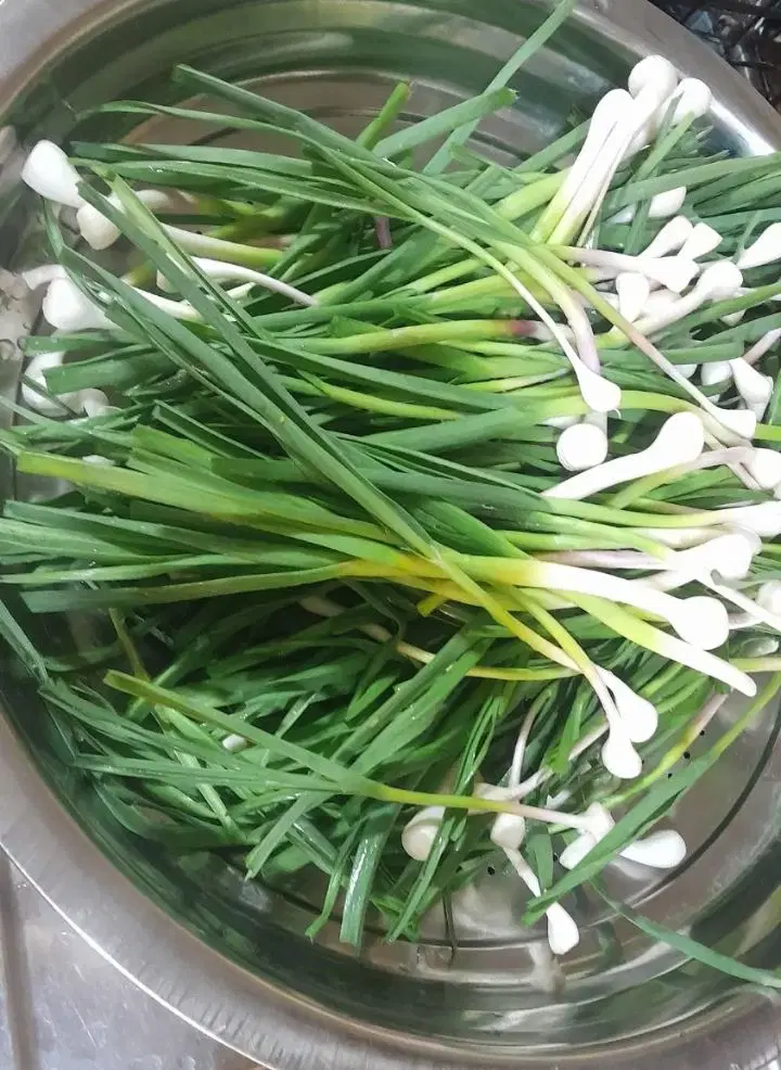 سیر تازه|خوردنی و آشامیدنی|سریش آباد, |دیوار