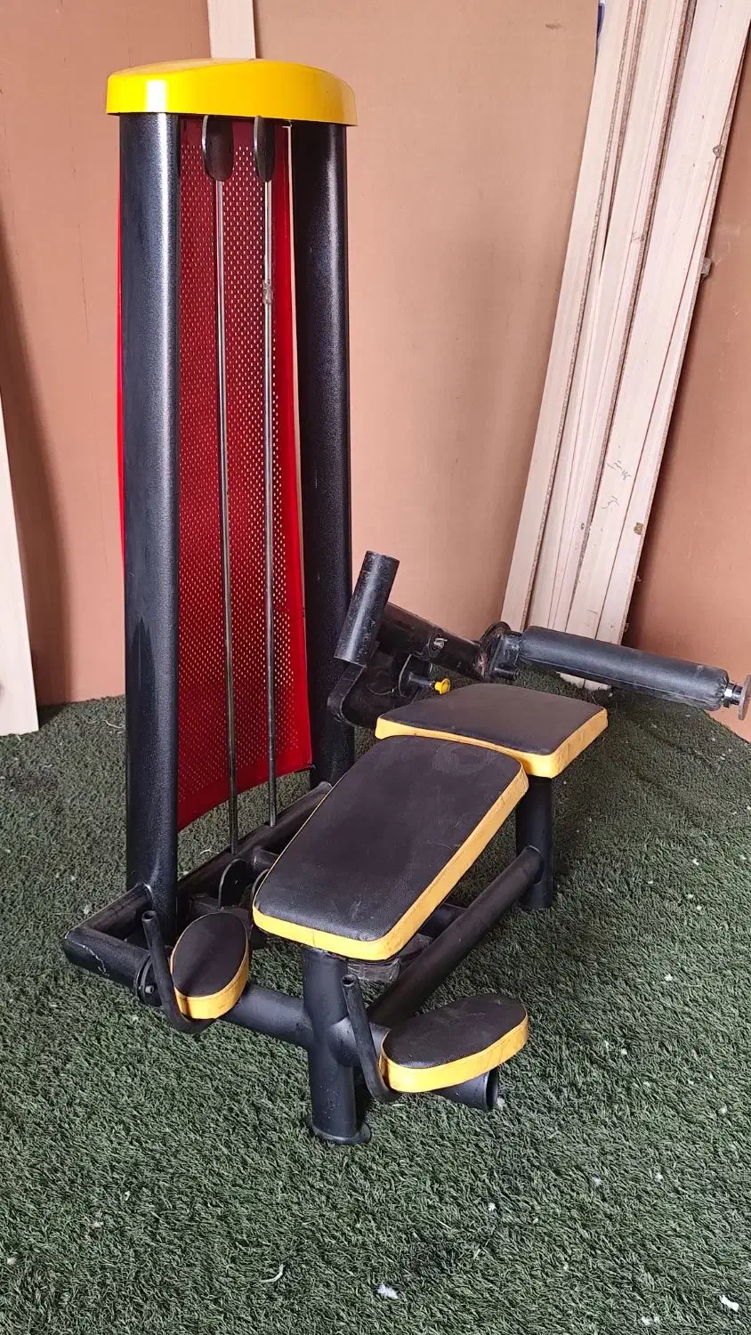 دستگاه فلای سینه|تجهیزات ورزشی|مشهد, همت آباد|دیوار