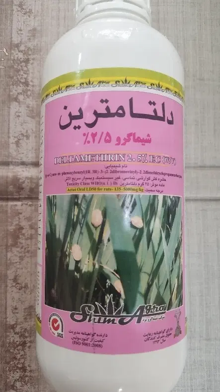 سم سن|گل و گیاه طبیعی|کبودرآهنگ, |دیوار