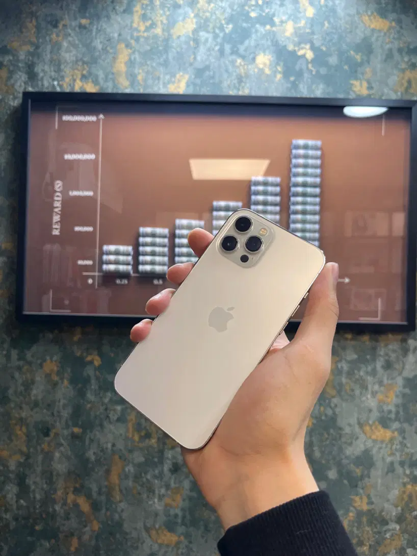 12pro max 256GB|موبایل|کرج, مهرویلا جنوبی|دیوار