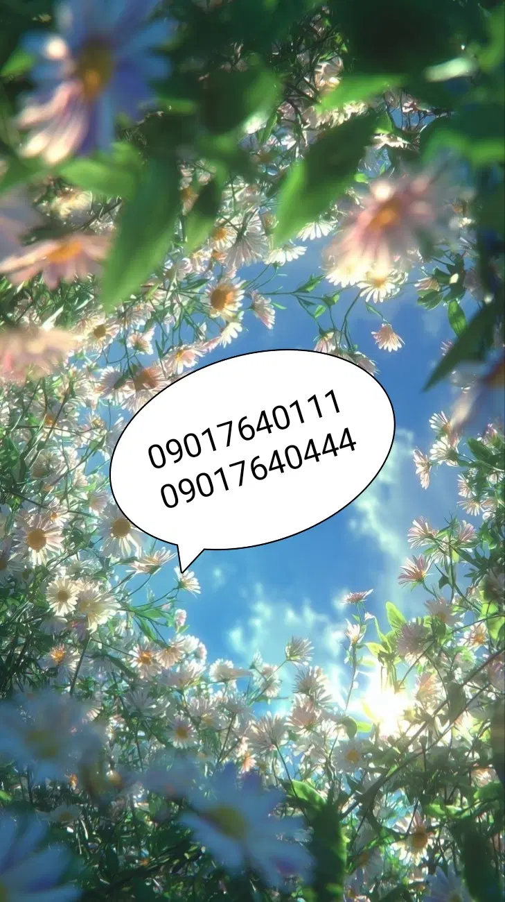 سیم کارت|سیم‌کارت|زاهدان, |دیوار