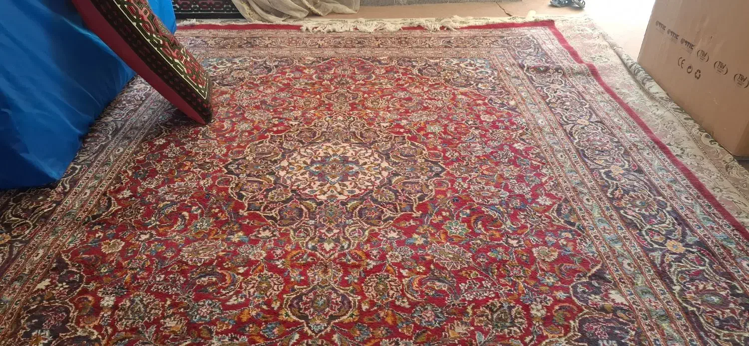 فرش دستی|فرش|شاندیز, |دیوار