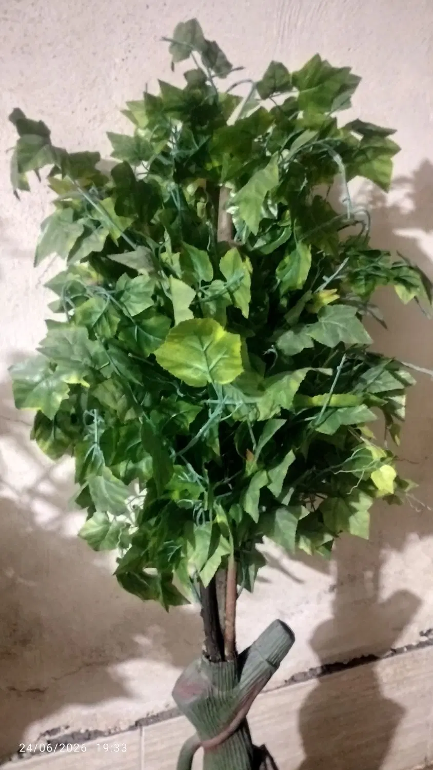 درخچه|گل مصنوعی|زاهدان, |دیوار