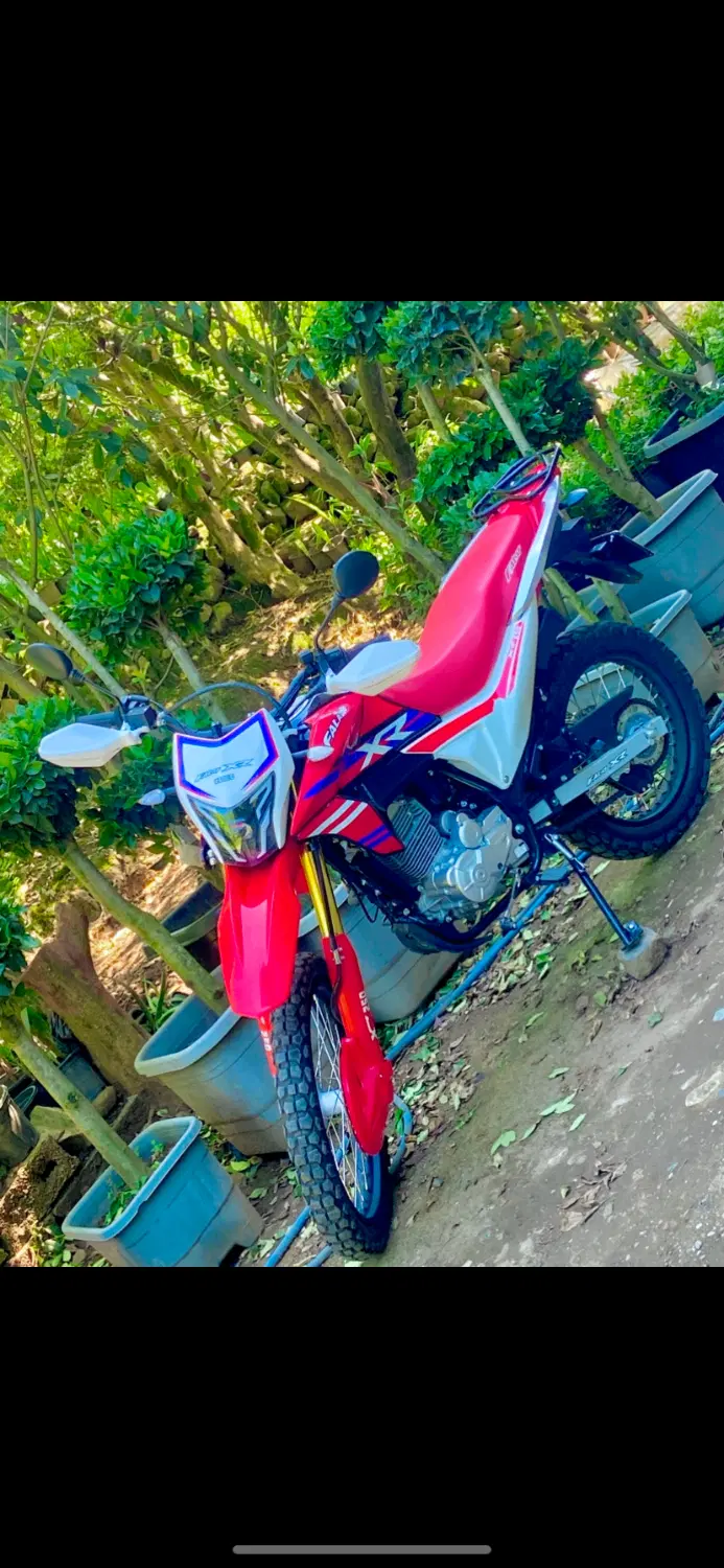 Xr 250|موتورسیکلت|واجارگاه, |دیوار