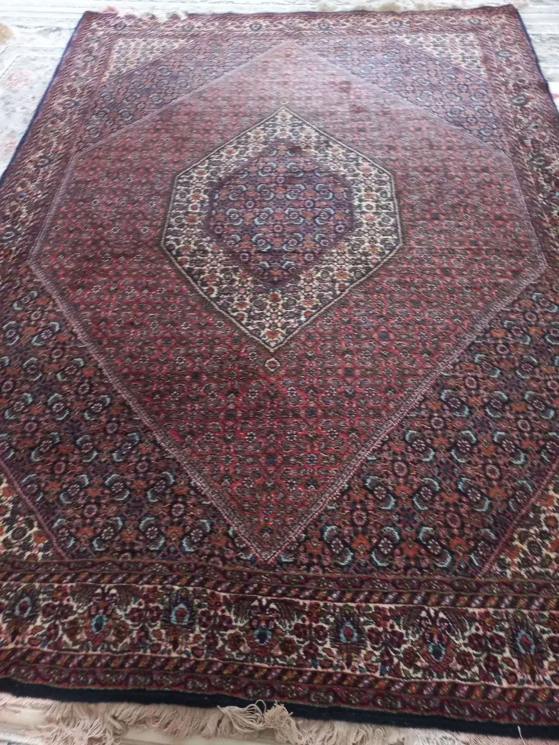 فرش|فرش|سنندج, |دیوار