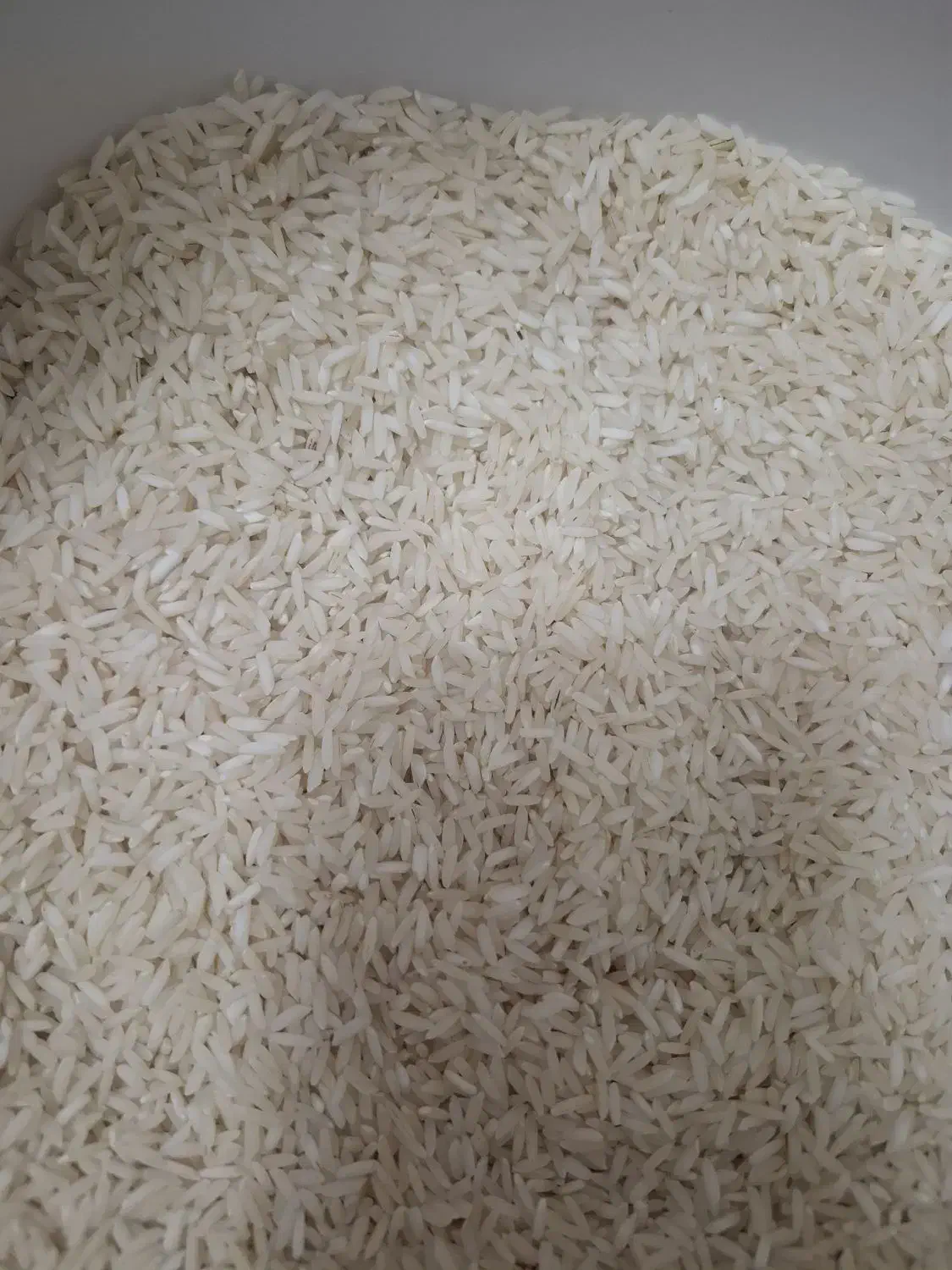 برنج|خوردنی و آشامیدنی|زیباکنار, |دیوار