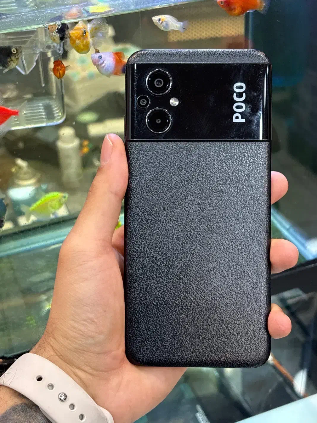 Poco M5|موبایل|شیراز, زند|دیوار