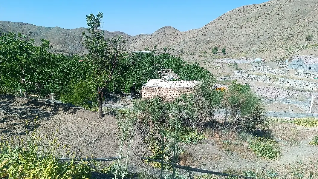 تصویر اصلی