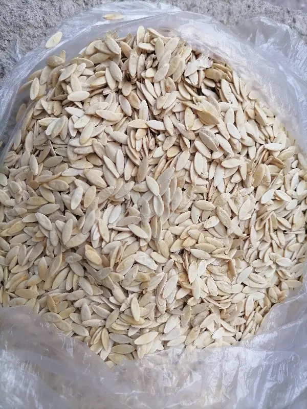 بذر خیار ps|خدمات باغبانی و درختکاری|کیار, |دیوار