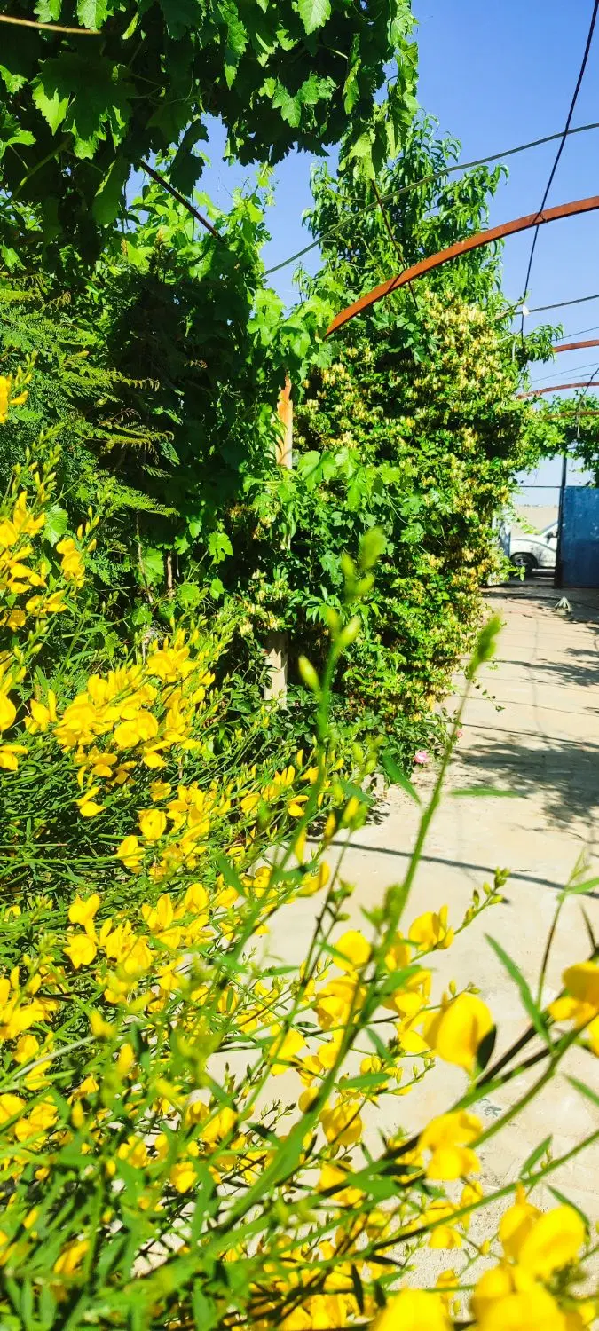 تصویر 14