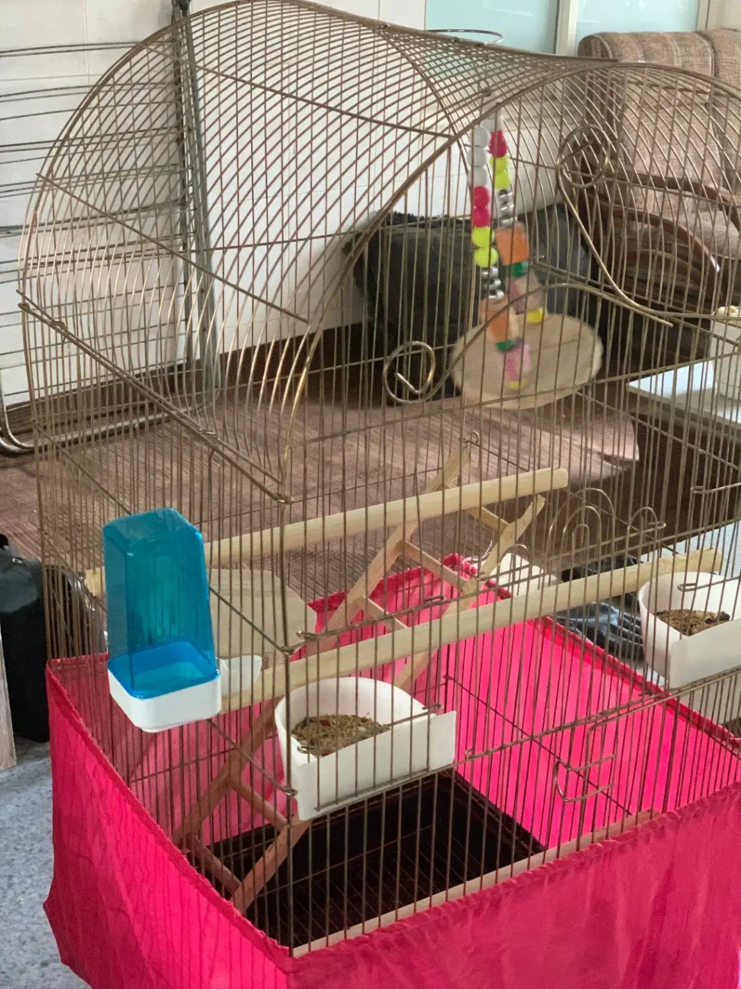 قفس طلایی|لوازم جانبی حیوانات|تهران, فلاح|دیوار