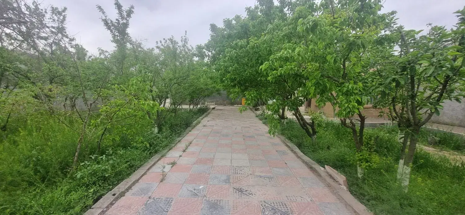 تصویر 5