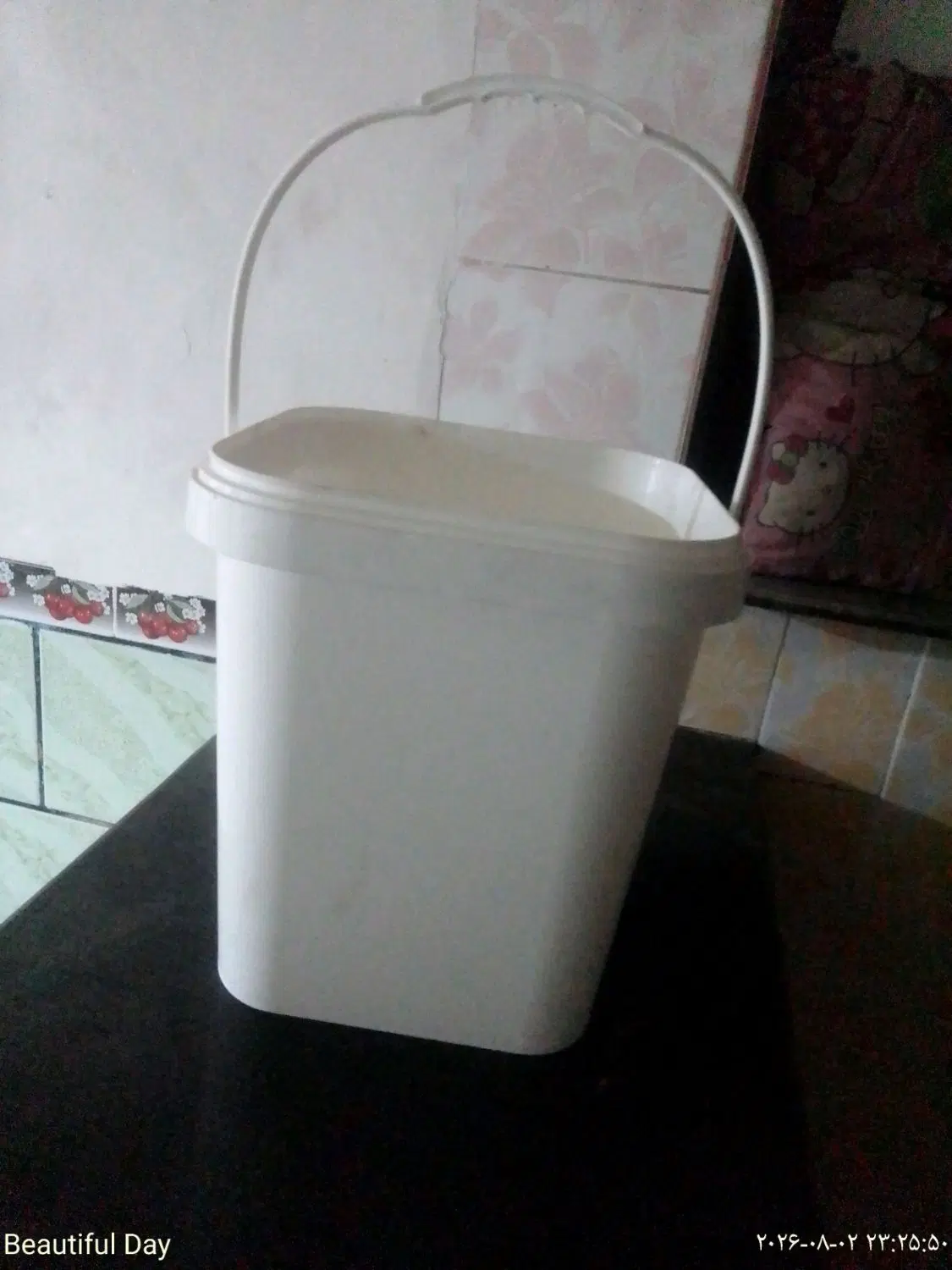 سطل نو|مواد شوینده و دستمال کاغذی|گنبد کاووس, |دیوار
