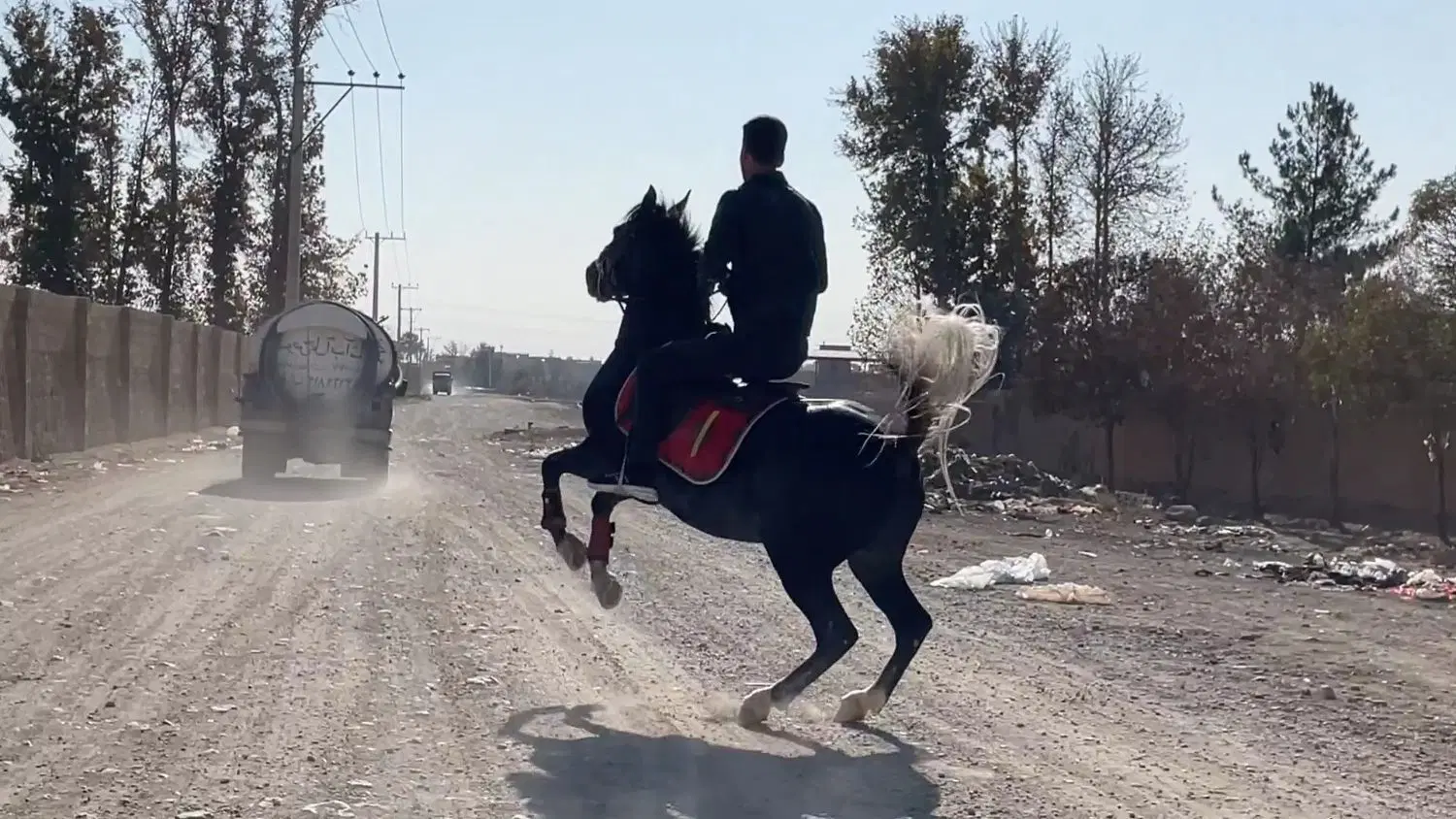 اسب|اسب و تجهیزات اسب‌سواری|زرندیه, |دیوار