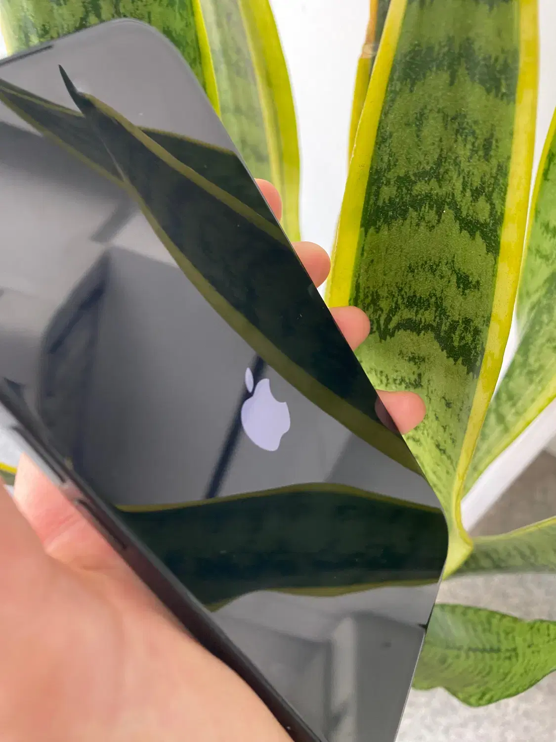 IPHONE 15Normal|موبایل|اردبیل, |دیوار