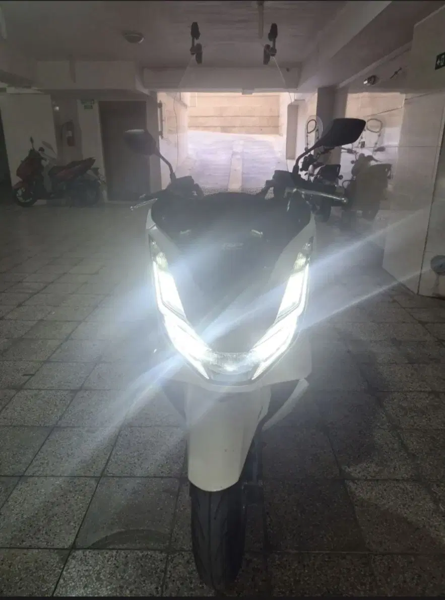 pcx160 مدل ۱۴۰۴|موتورسیکلت|تهران, عبدل‌آباد|دیوار