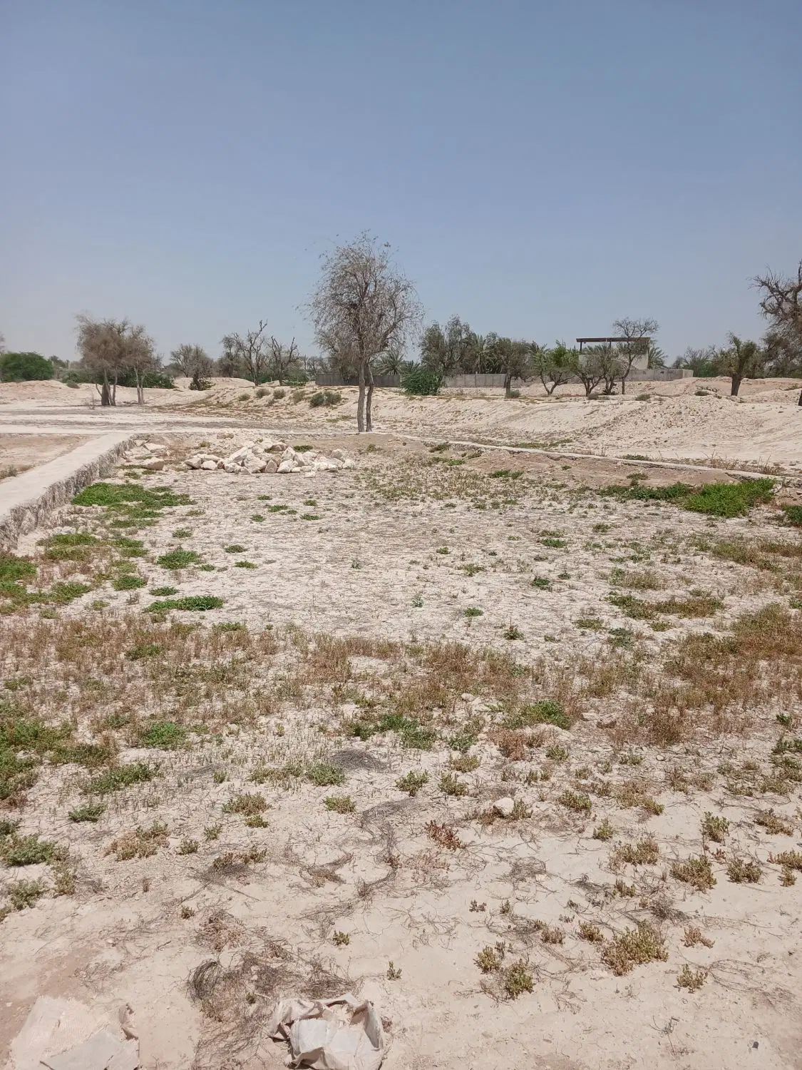 تصویر 5