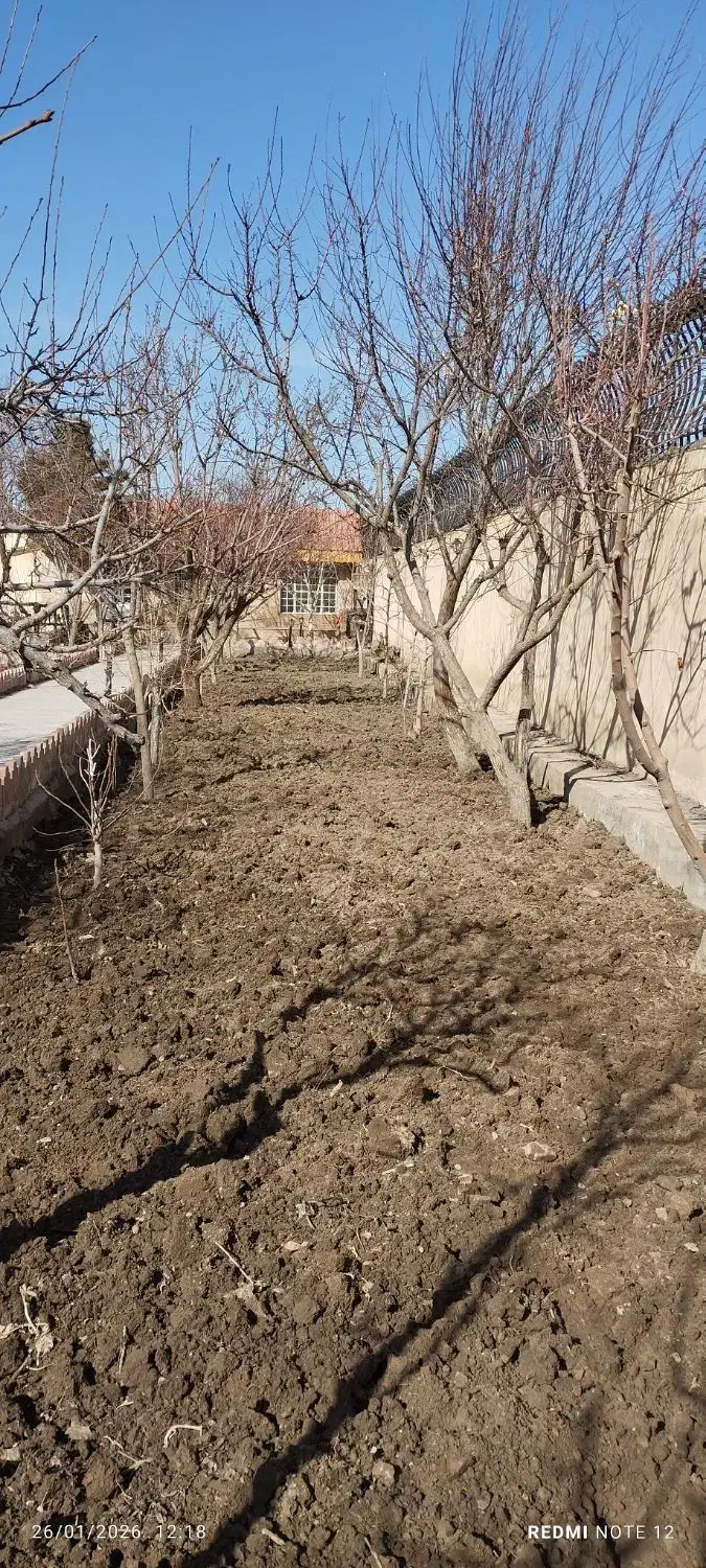 باغبونی|خدمات باغبانی و درختکاری|مشهد, کلاته برفی|دیوار