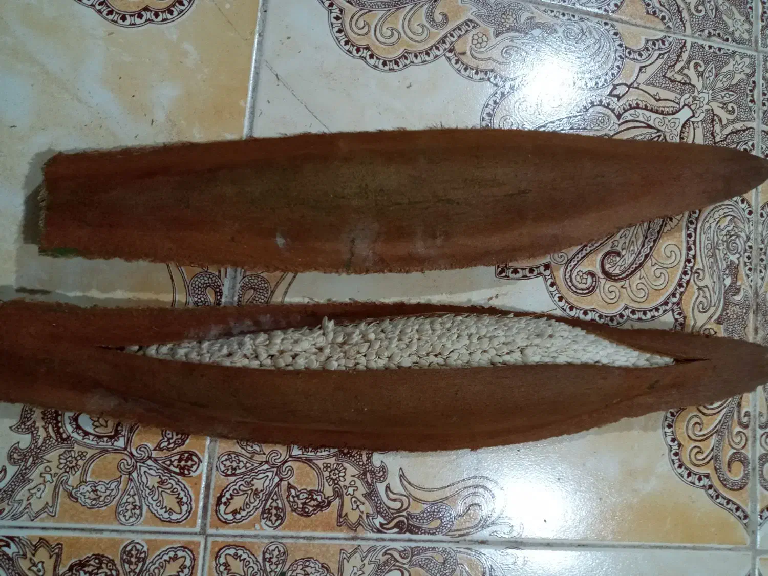 بو نخل|گل و گیاه طبیعی|برازجان, |دیوار