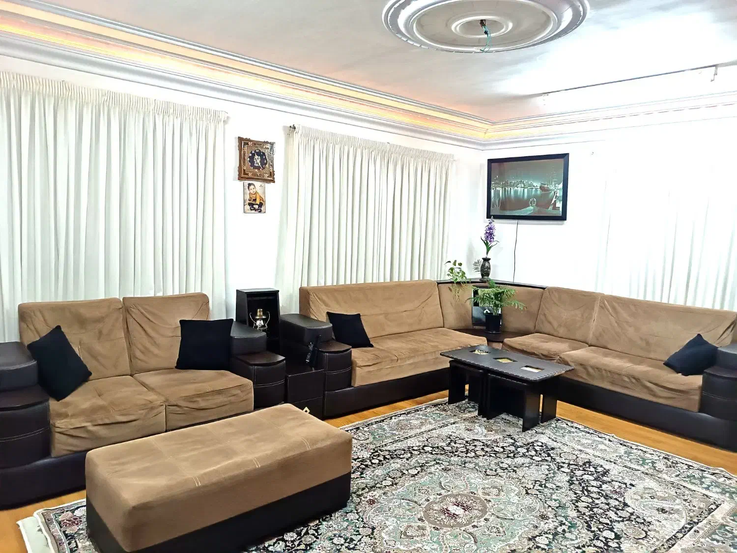 مبل|مبلمان خانگی و میز عسلی|رشت, کاکتوس|دیوار