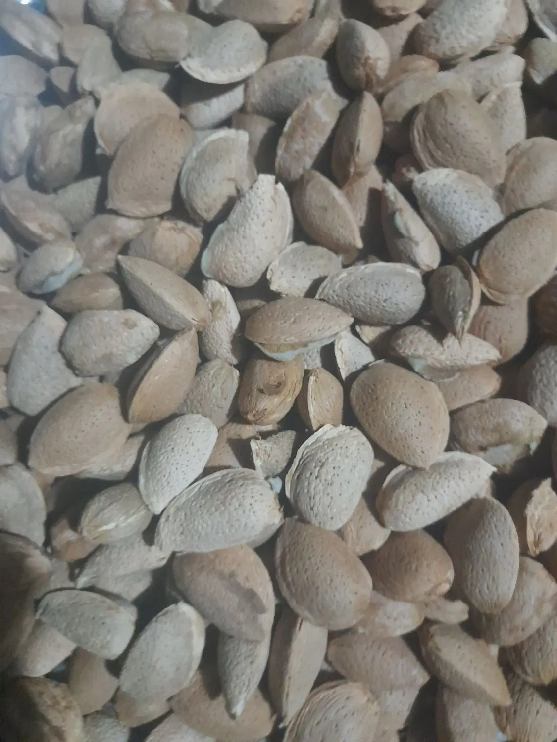 بادام|خوردنی و آشامیدنی|خرمآباد, |دیوار