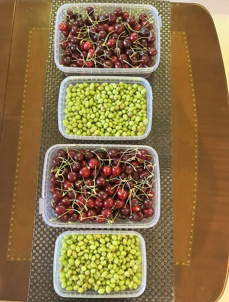 ظرف غدا|ظروف نگهدارنده، پلاستیکی، یکبارمصرف|اراک, |دیوار