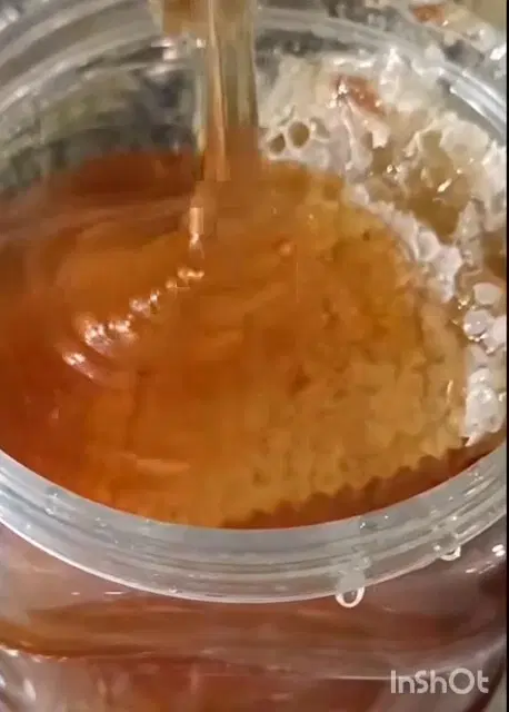 عسل|خوردنی و آشامیدنی|کازرون, |دیوار