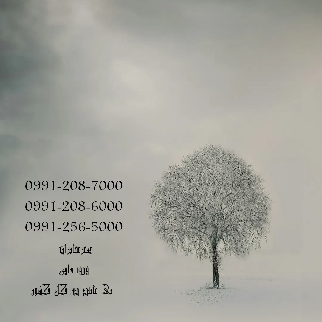 0991-208-6000|سیم‌کارت|نیشابور, دارایی|دیوار