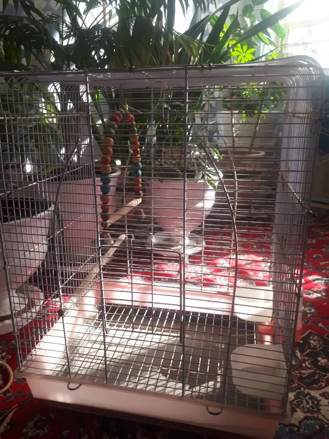 قفس|لوازم جانبی حیوانات|نیشابور, بنیاد شهید|دیوار