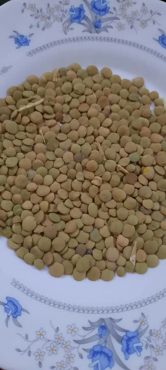 حبوبات|خوردنی و آشامیدنی|بزینه رود, |دیوار