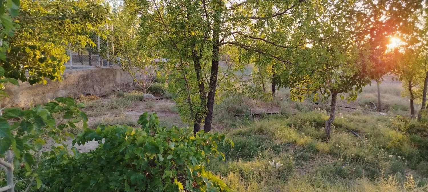 تصویر 7