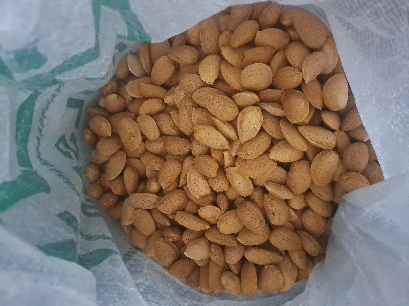 بادام|خوردنی و آشامیدنی|سبزوار, امیر کبیر|دیوار