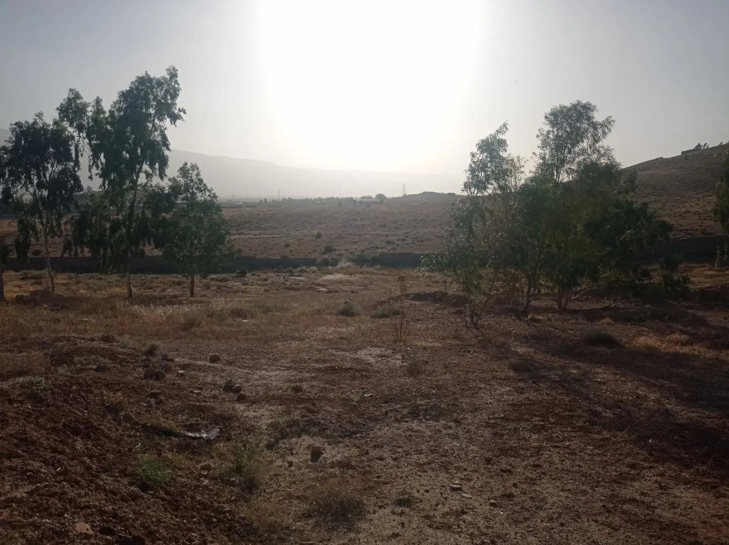 تصویر 3