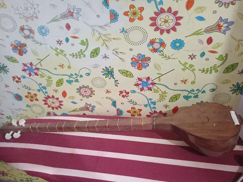 سه تار|سازهای سنتی|بوشهر, |دیوار