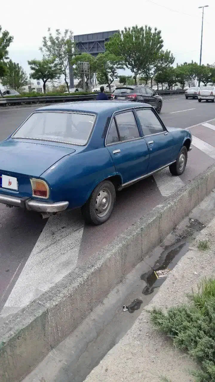 پژو ۵۰۴|خودرو کلاسیک|چهاردانگه (تهران), |دیوار