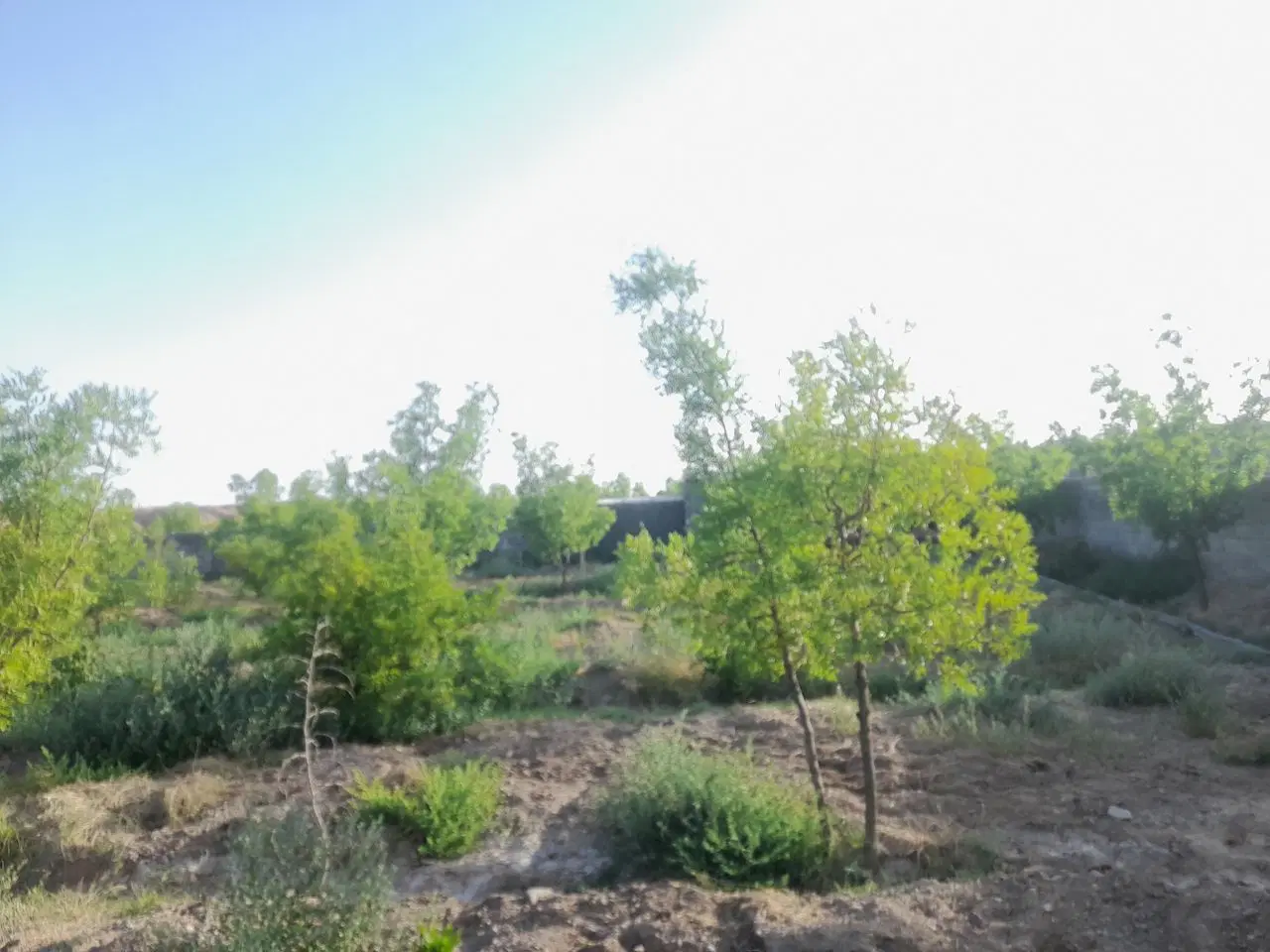 تصویر 3