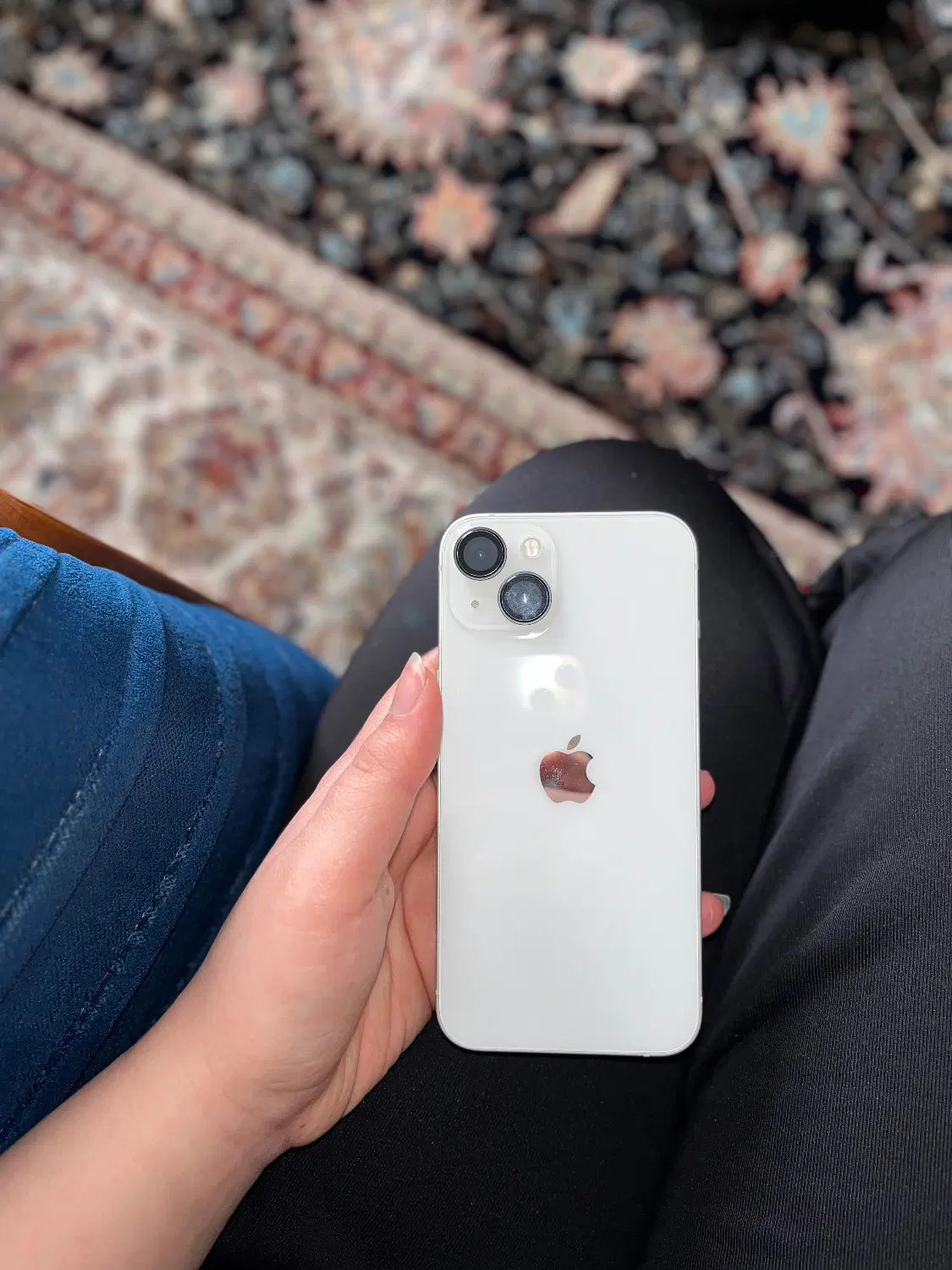 iPhone 13 normal|موبایل|پرند, فاز ۶|دیوار